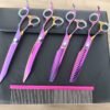 Pet hair grooming scissors kit