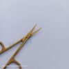 High Quality Stainless Steel Cuticle Scissors